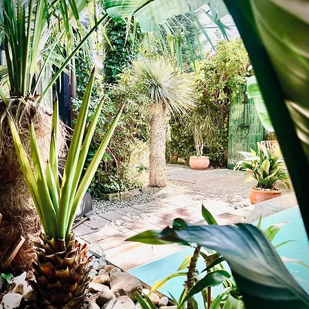 Unique House With Private Swimming Pool By The Sea - Afra Group * Zoppot